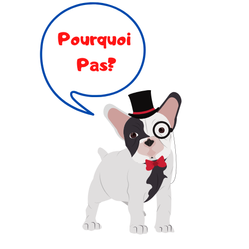 Pourquoi Pas?